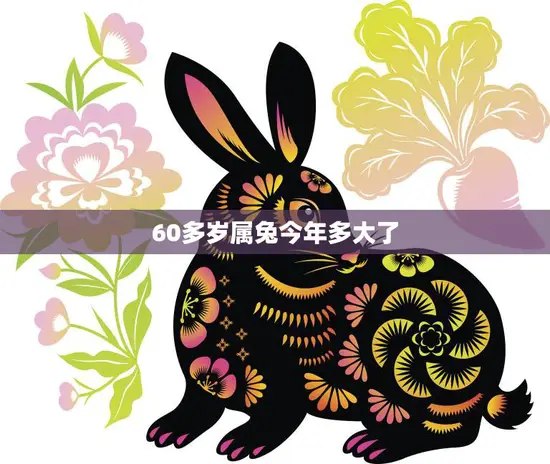 60多岁属兔今年多大了(如何健康长寿)