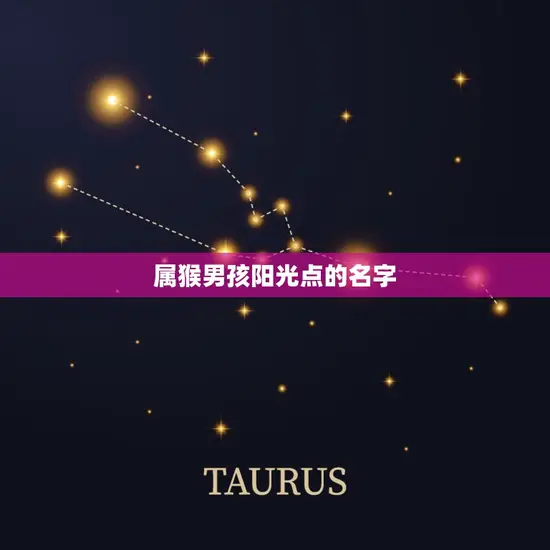 属猴男孩阳光点的名字(如何选择)