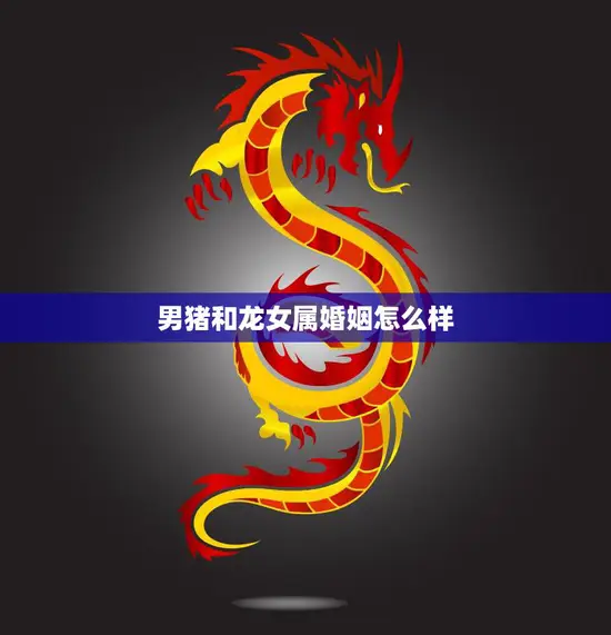 男猪和龙女属婚姻怎么样(解析星座配对是否靠谱)