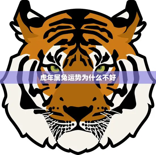 虎年属兔运势为什么不好(探究星象影响还是心态作祟)