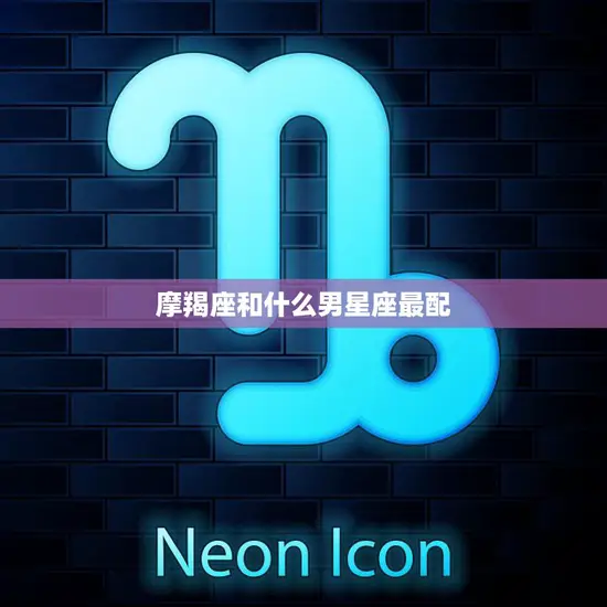 摩羯座和什么男星座最配(完美星座组合揭秘)
