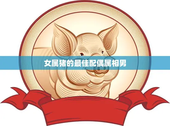 女属猪的最佳配偶属相男(如何选择)