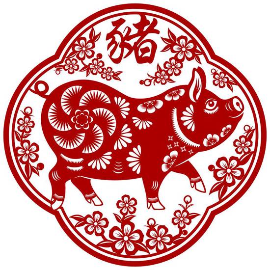 猪今年多大年龄2023(猪年龄计算方法解析)