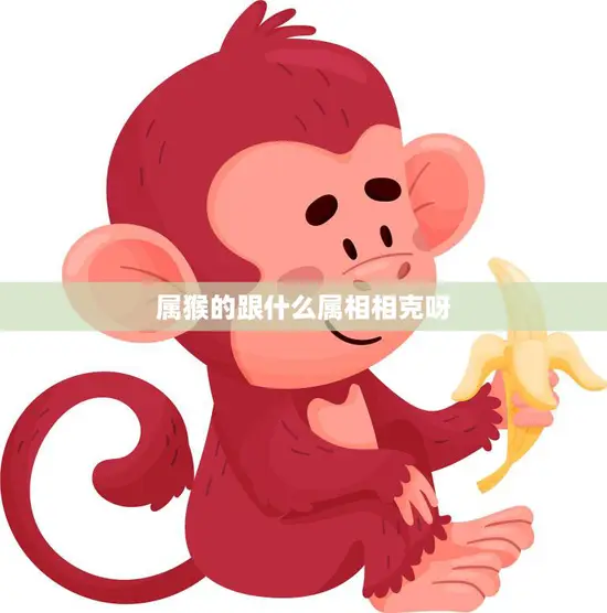 属猴的跟什么属相相克呀(解析猴子遇上这些属相要小心)