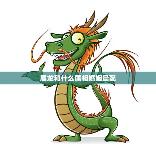 属龙和什么属相婚姻最配(如何选择最佳配偶)