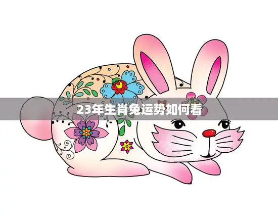 23年生肖兔运势如何看(兔子们2023年你们的运势如何)