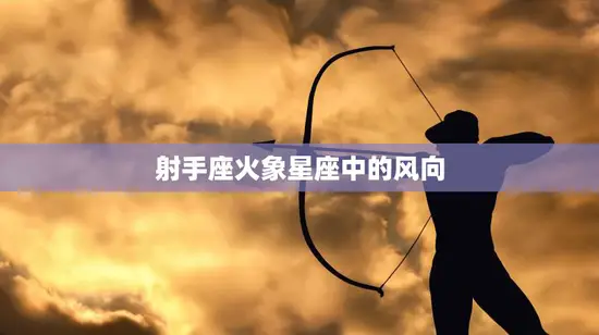 射手座火象星座中的风向(探究热情与自由的平衡)