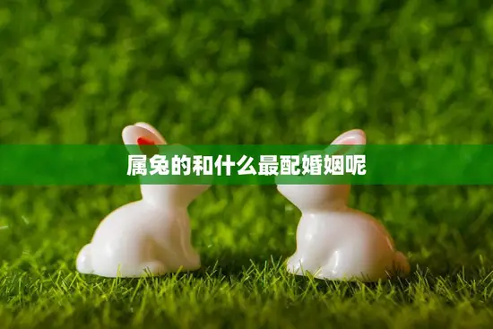 属兔的和什么最配婚姻呢(寻找最佳婚姻组合)