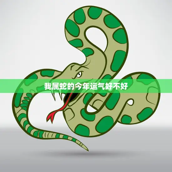 我属蛇的今年运气好不好(2023年属蛇人的运势大揭秘)