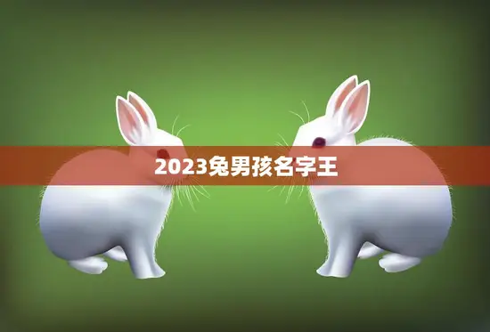 2023兔男孩名字王(寓意吉祥的命名方式)