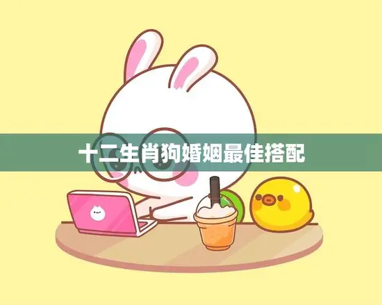 十二生肖狗婚姻最佳搭配(揭秘与哪些生肖最配)
