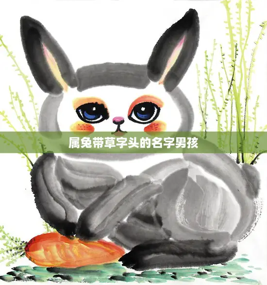 属兔带草字头的名字男孩(如何选择适合自己的名字)