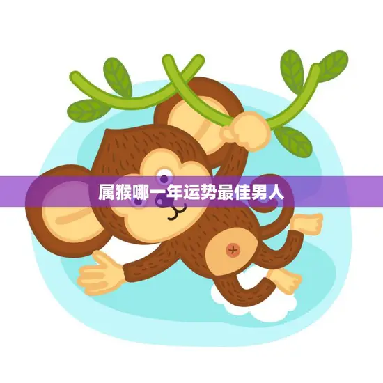 属猴哪一年运势最佳男人(揭秘2023年财运大爆发的秘诀)