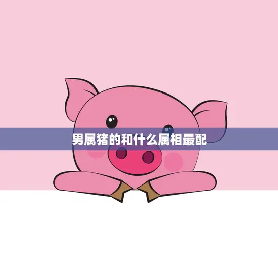 男属猪的和什么属相最配(寻找最佳配对)