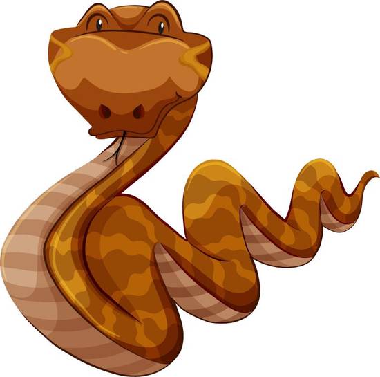 属蛇今日运势偏财运方位(财运亨通财源滚滚来)