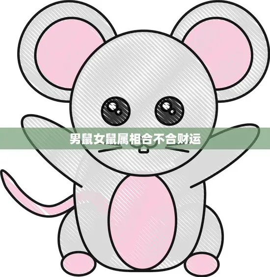 男鼠女鼠属相合不合财运(财运互补还是相克)