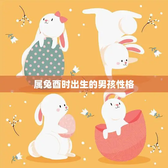属兔酉时出生的男孩性格(探秘温和内敛聪明机智)