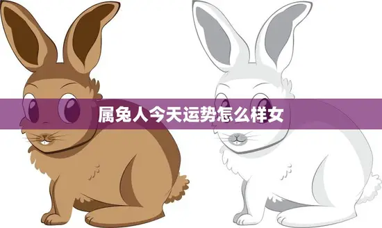 属兔人今天运势怎么样女(幸运之星高照财运亨通)