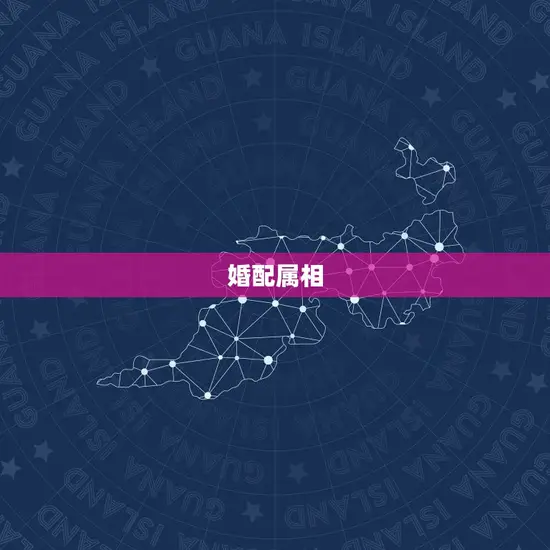 女属龙的婚配属相(如何选择伴侣)