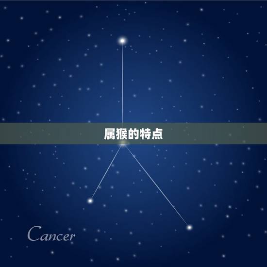 属猴的名字适合用的字(猴年宝宝起名攻略)