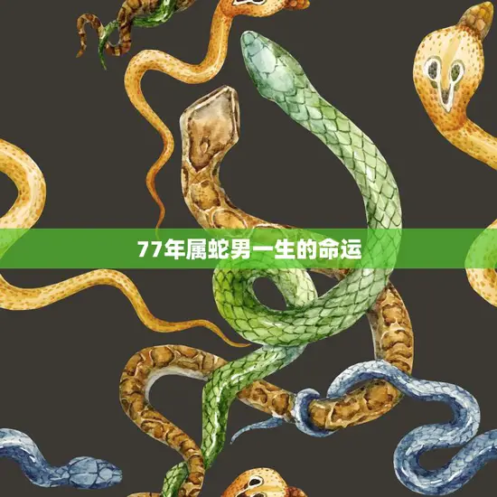 77年属蛇男一生的命运(如何预测)