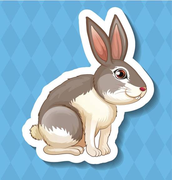 87年的火兔五行缺什么(探寻命理学中的秘密)