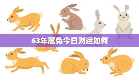 63年属兔今日财运如何(财富运势大好财源滚滚来)