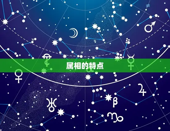 属牛的人跟属虎的合吗(介绍属相配对的奥秘)