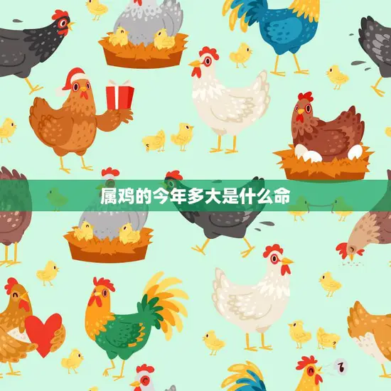 属鸡的今年多大是什么命(解析2023年属鸡人的运势如何)