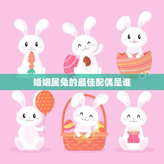 婚姻属兔的最佳配偶是谁(如何选择最适合的伴侣)