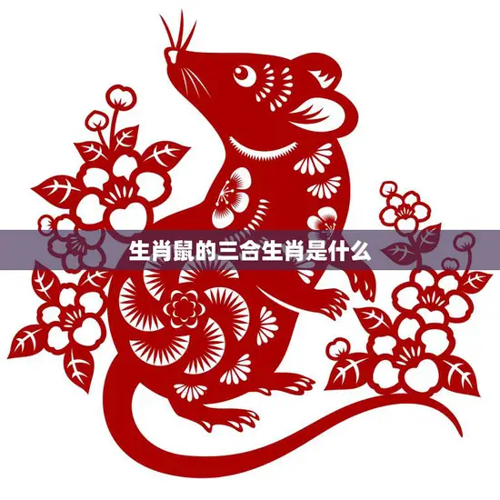 生肖鼠的三合生肖是什么(揭秘鼠、龙、猴的奇妙组合)