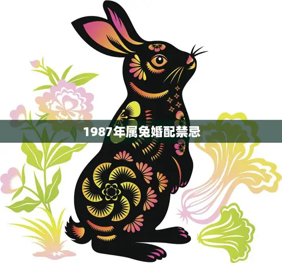 1987年属兔婚配禁忌(如何避免婚姻破裂)