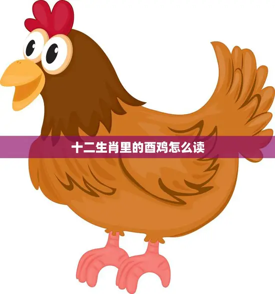 十二生肖里的酉鸡怎么读(解读十二生肖中的酉鸡)