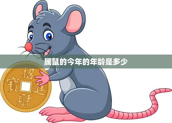 属鼠的今年的年龄是多少(2023年属鼠人的年龄计算方法解析)