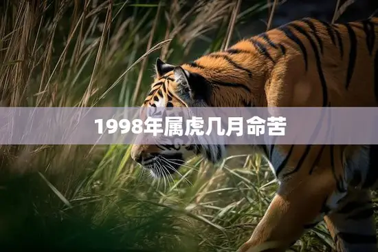 1998年属虎几月命苦(解析属虎人的命运如何)