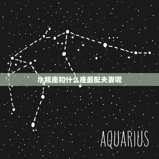 水瓶座和什么座最配夫妻呢(探寻星座之间的默契配对)