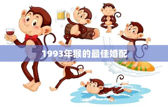 1993年猴的最佳婚配(幸福长久这些星座最配)