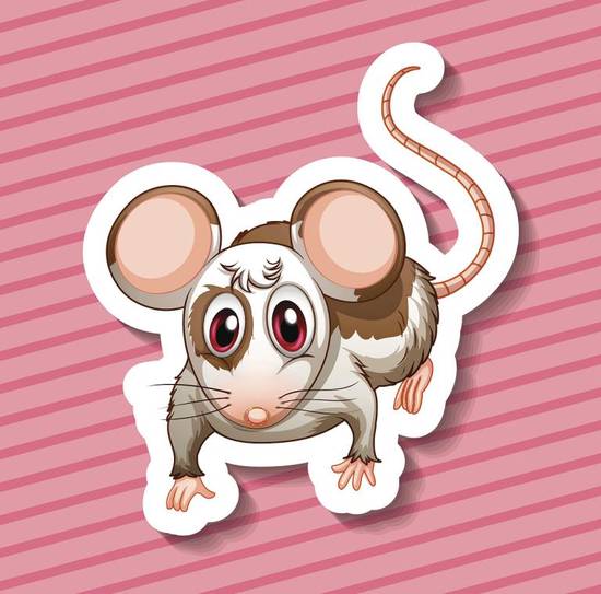 96年鼠23年事业运势(展望未来前途光明还是坎坷不平)