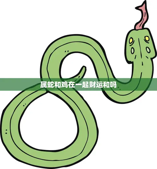 属蛇和鸡在一起财运和吗(解密两者相辅相成还是水火不容)