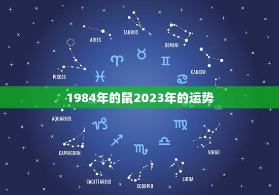 1984年的鼠2023年的运势(财运亨通事业有成)