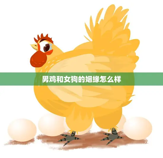 男鸡和女狗的姻缘怎么样(神奇的跨物种爱情)
