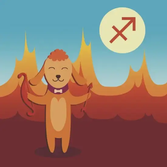 射手座与白羊组合星盘图