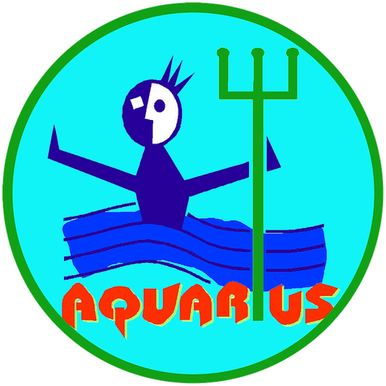 水瓶座农历几月几日生日好(如何庆祝这个特殊的日子)