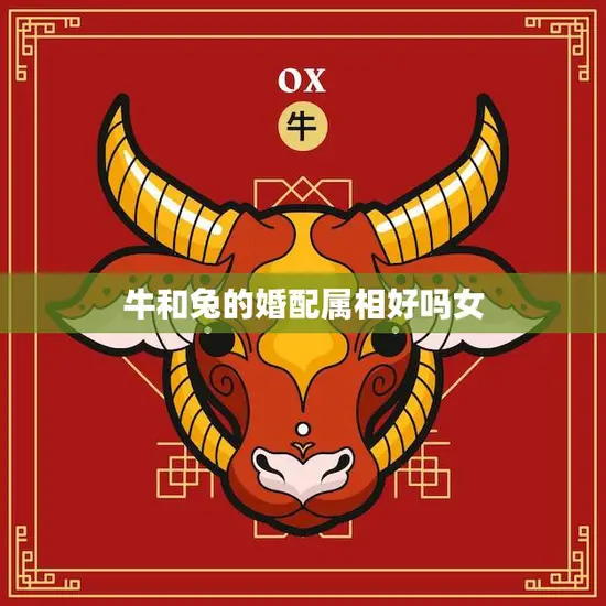 牛和兔的婚配属相好吗女(解析婚姻幸福还是不靠谱)