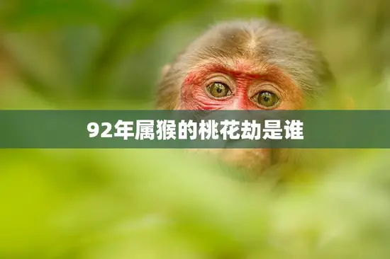 92年属猴的桃花劫是谁(揭秘属猴人桃花运劫状况)