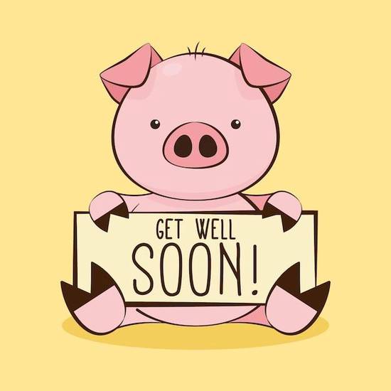 今年属猪的运势2023(猪年大吉财运亨通)