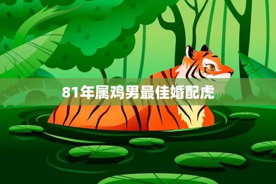 81年属鸡男最佳婚配虎(完美匹配爱情长跑的默契配对)