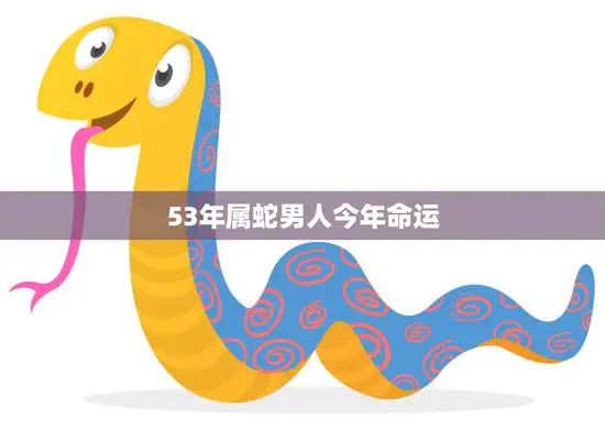 53年属蛇男人今年命运(展望财运旺盛感情顺利)