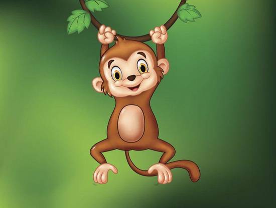 属猴2023年运势及运(猴儿飞升运势大好)