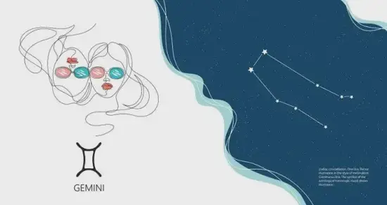 双子座脑力值分析